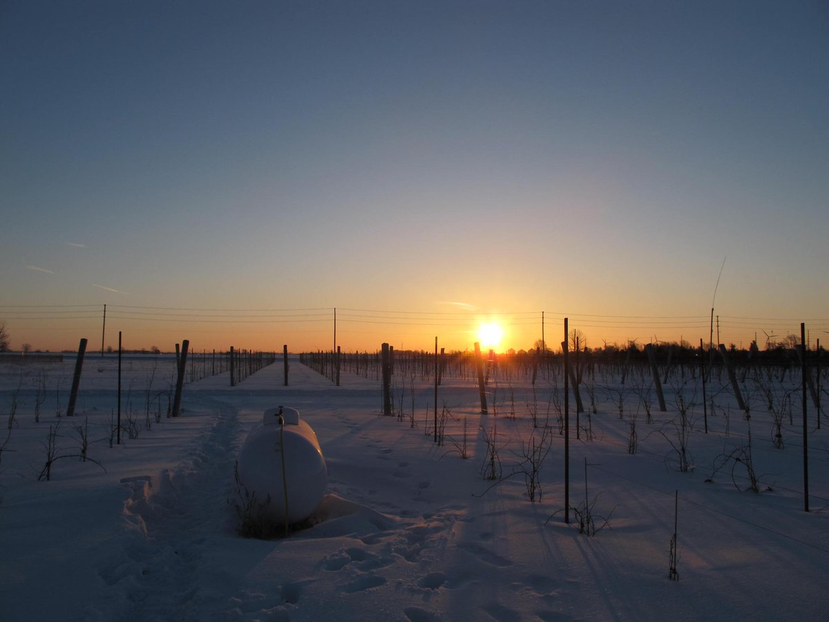 And so ends a long, cold night......