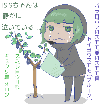 isisvipper's tweet photo. Ｎ〇Ｋ趣味の園芸メロンの育て方
#ISISイラスト化祭り
#ISISちゃん
#ISISchan
#ISIL #ISIS
#airdrops4rojava
#Daesh※プルーンの宣伝ではありません。ISISちゃんは実在の団体とは無関係 http://t.co/VHdsOGO1zY