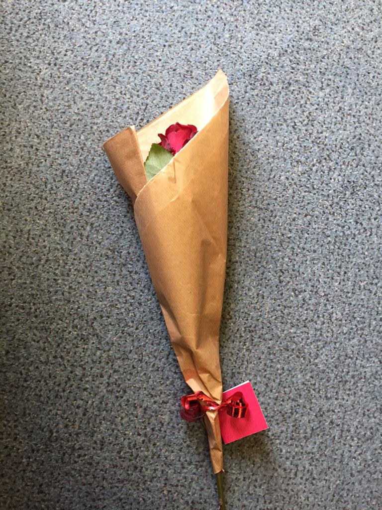 lauzb25's tweet image. #lifeisrosey you have made my day