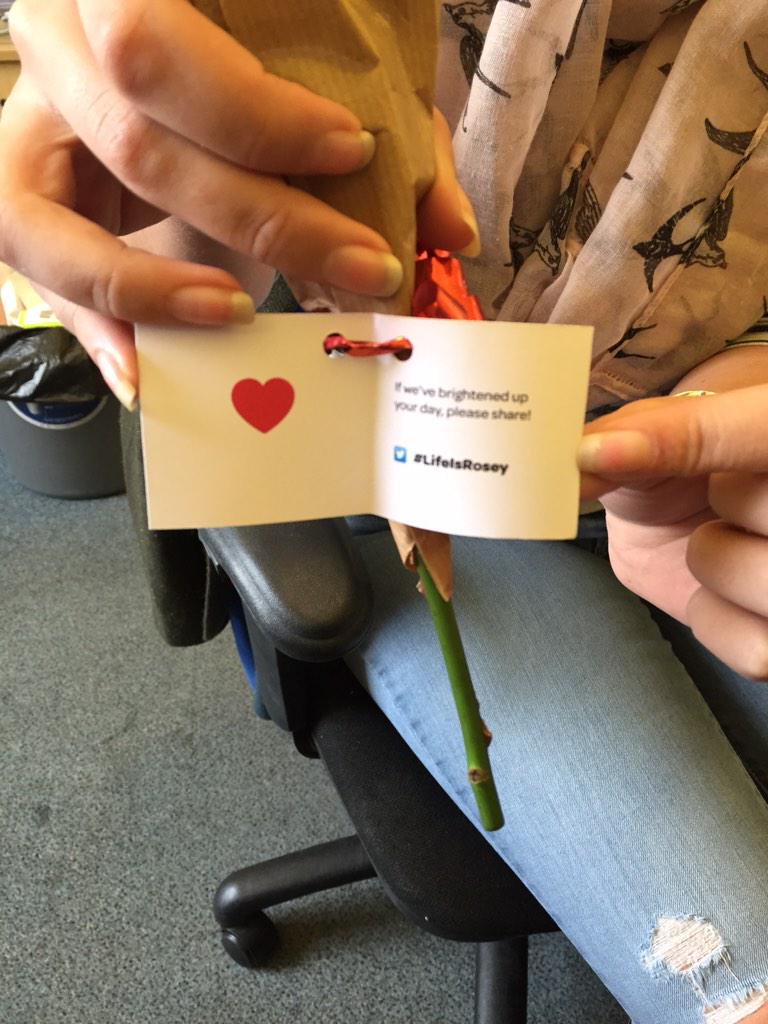 lauzb25's tweet image. #lifeisrosey you have made my day