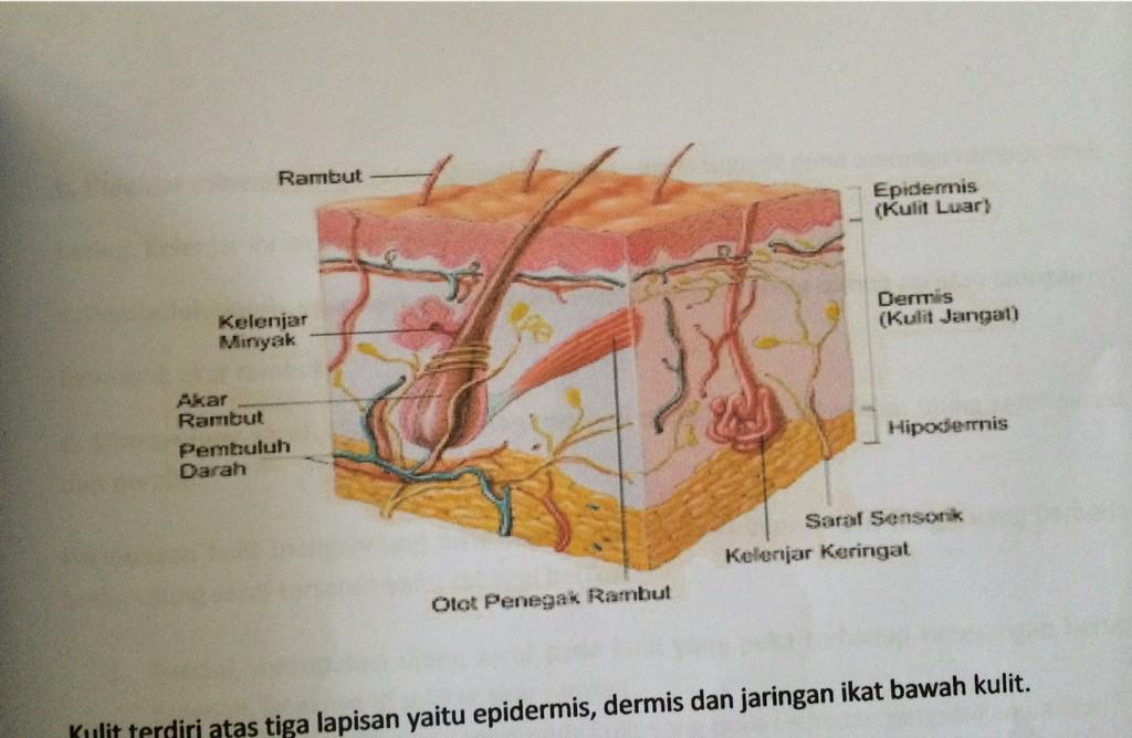 Semoga karena besok valentine, guru pengawas ujian jadi penuh kasih sayang dan ngasi nilai besar😂😍💝