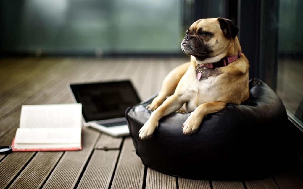 vaishnav dighe tweet media