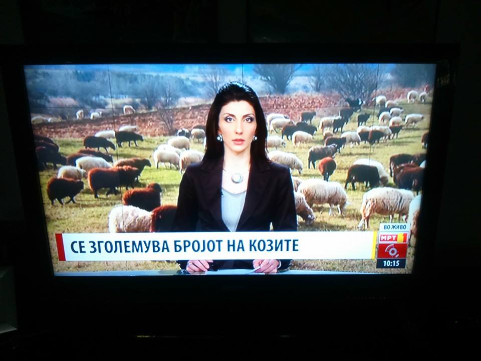 Andreas_Hz's tweet image. ПОБЕДА НА ДЕНОТ!