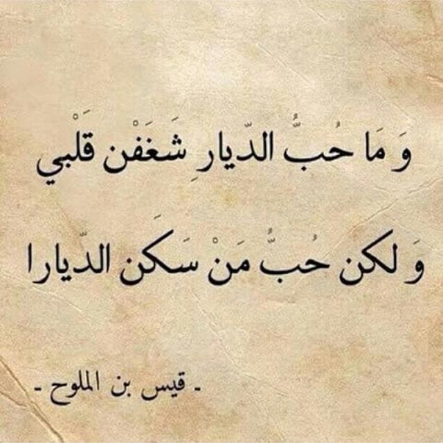 69adab's tweet photo. #قيس #قيس_بن_الملوح http://t.co/08EgXVBCbl