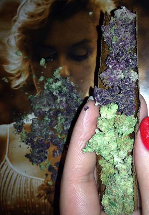 loopsy_laa's tweet photo. Thankgod it's the weekend....#StonerNation #TeamKUSH #stonerfam #TGIF ;) http://t.co/6z1qXDBd0G