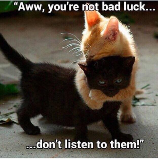 KittySterling's tweet image. #HappyFridaythe13th #FridayThe13th #perceptionispower 💋