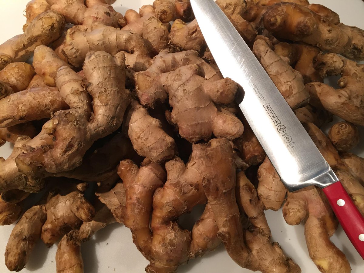 New Flavor this week: Xtra Ginger!  We'll also have Original and Honey Orange gingerbeer tomorrow at @CedarParkFM!