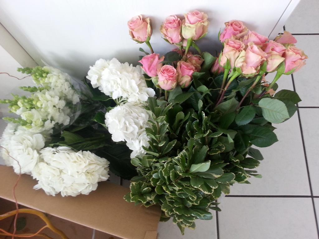 cdangelo22's tweet image. I get to create with these today.   #lovemyjob