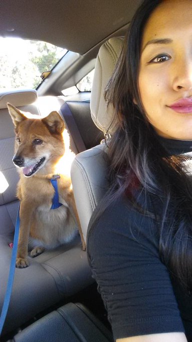 Mollyventures! http://t.co/HZZvRLfyYr<a href="/tag/mvsales"class="tags"><span>#mvsales</span></a>