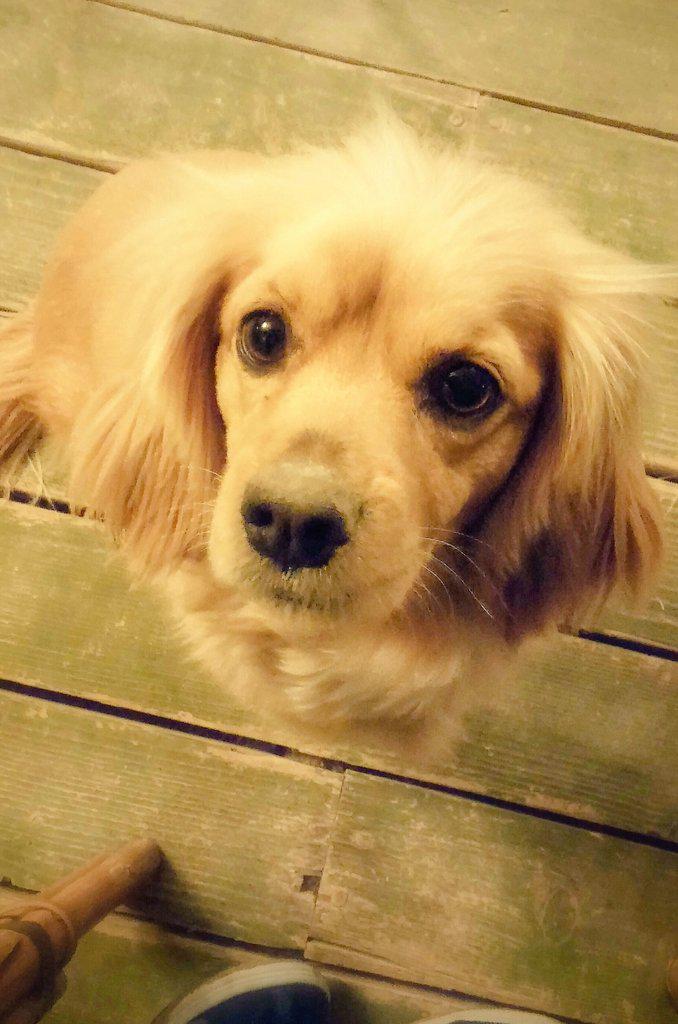 Dünya'nın en etkili Bakışı.