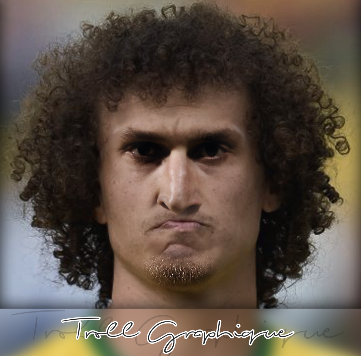 TrollGraphique's tweet image. David Ibrahimovic @Ibra_official @DavidLuiz_4  #TrollGraphique #Chelouletype