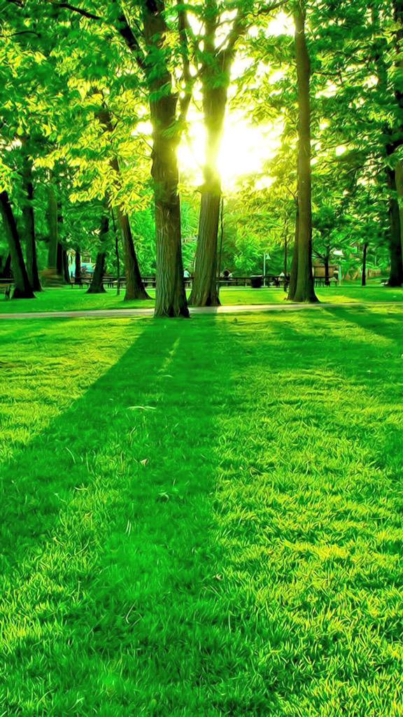 bounceballFTW's tweet photo. Having a picnic here would be mind blowing :) ( I wonder if someone could recreate this in minecraft ) http://t.co/cG5YM7CFB7