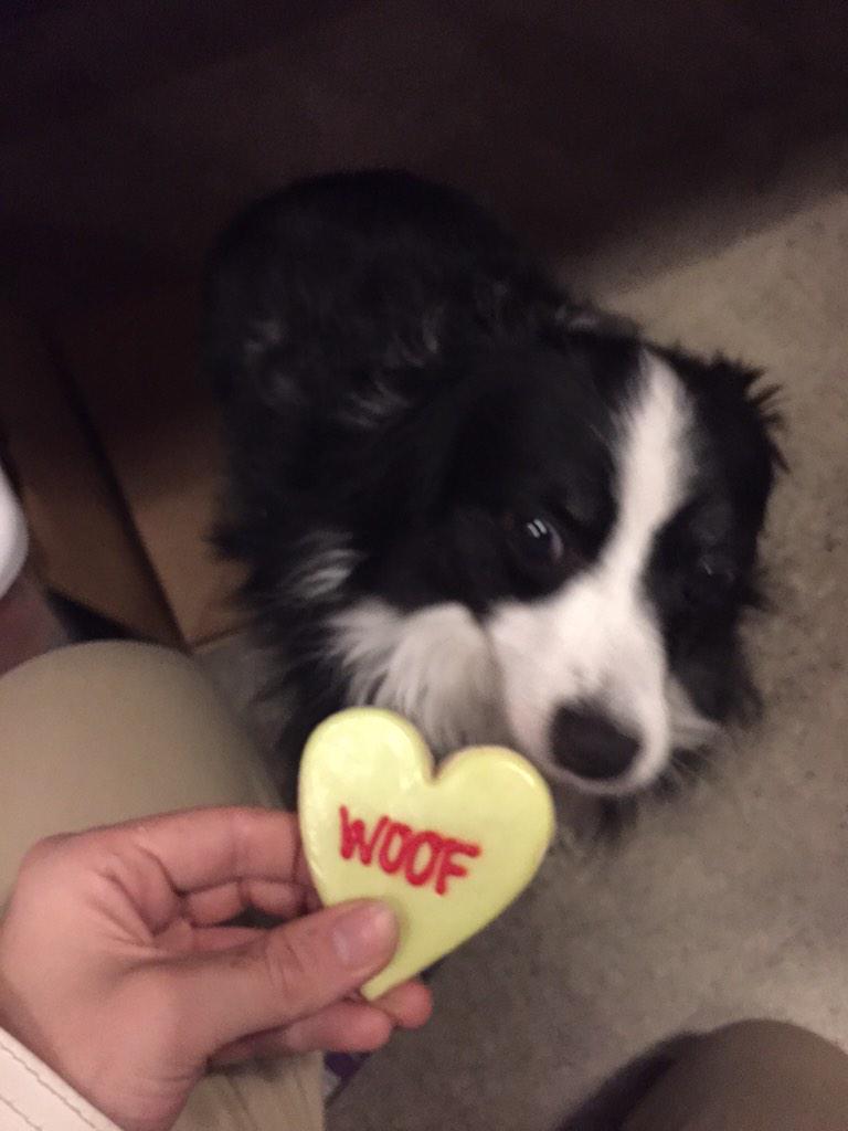 It's #FridayThe13th! Which #cause should we #donate to today? #AnimalRights #BeTheChange #Ideas4Change #woof
