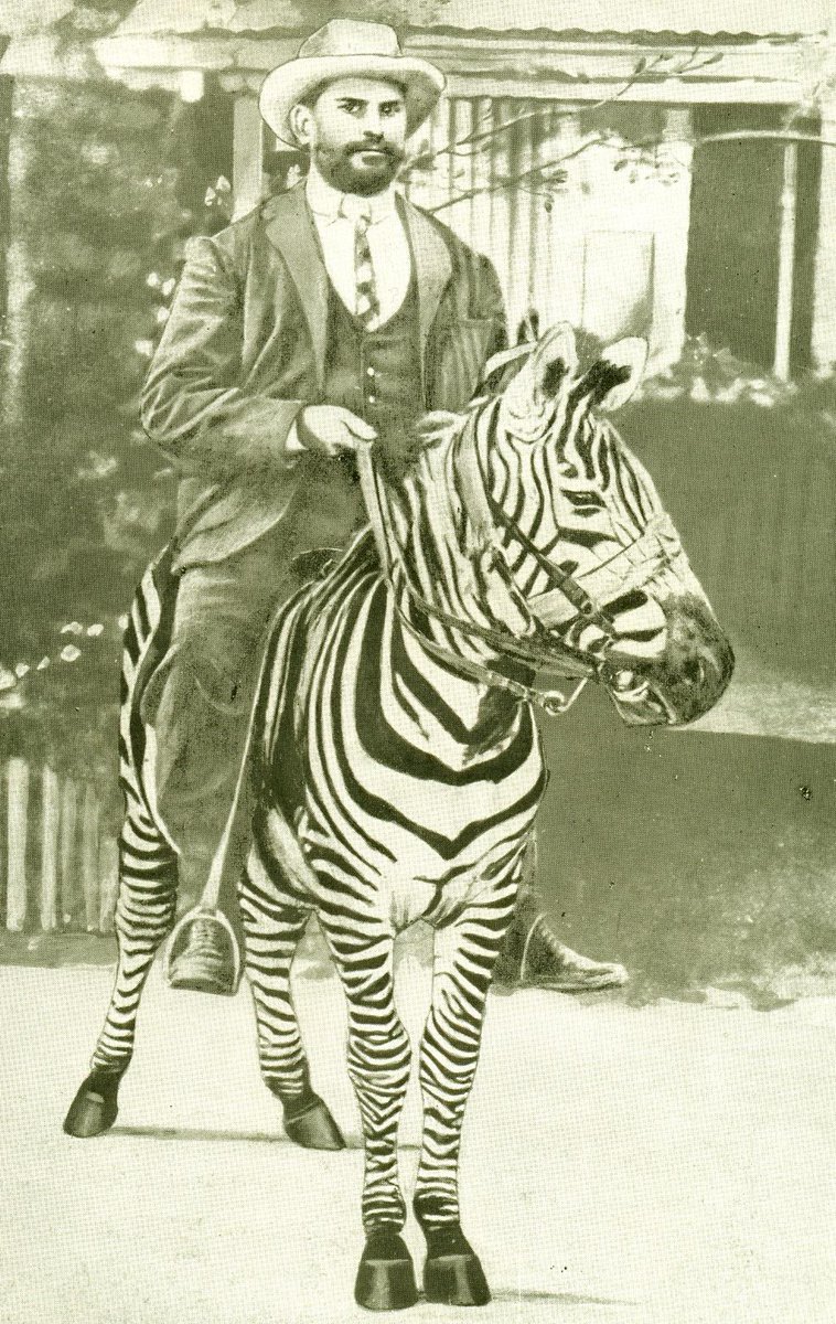 Kenyan Facts 🇰🇪 tweet media