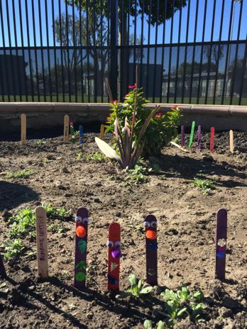 NinaRevoyr's tweet photo. @CII_Updates Lettuce planted by Head Start kids in Imperial Courts in Watts. Thank you, Coach for Kids! http://t.co/eR7oWn9bIh