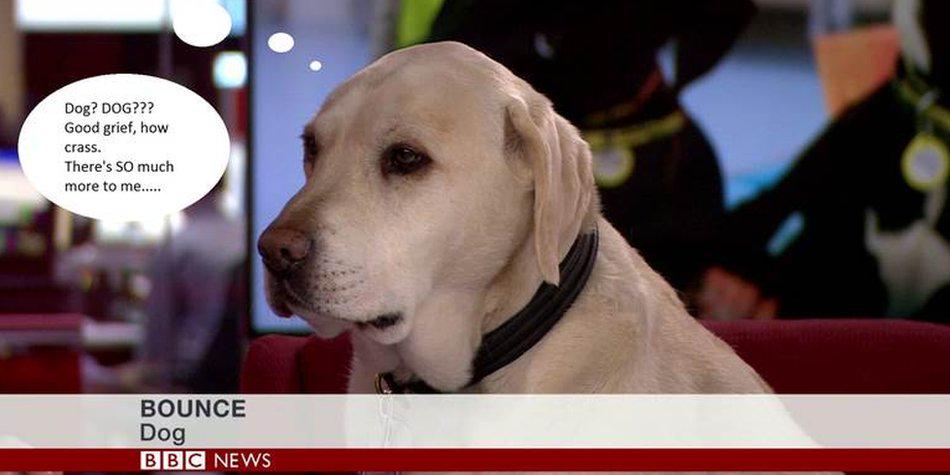Italienerin Bbc Große Sadomaso