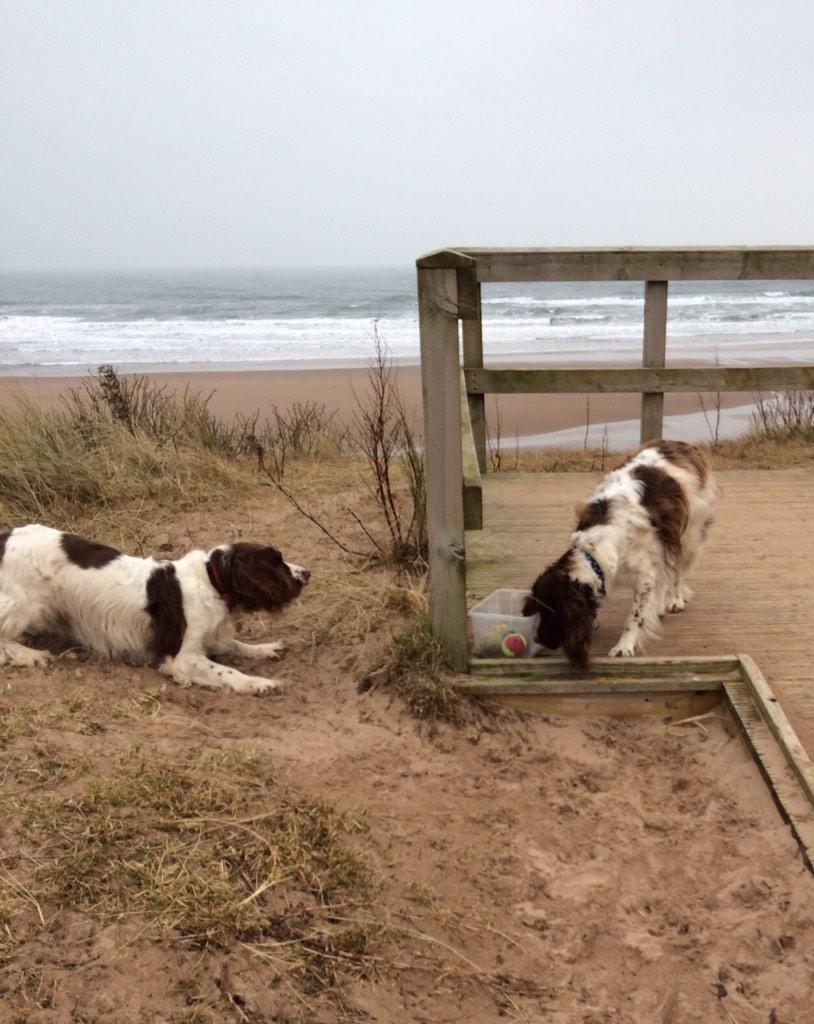 EdwinandHubble's tweet image. Da ball box #Lunan #RainbowBridge #TB