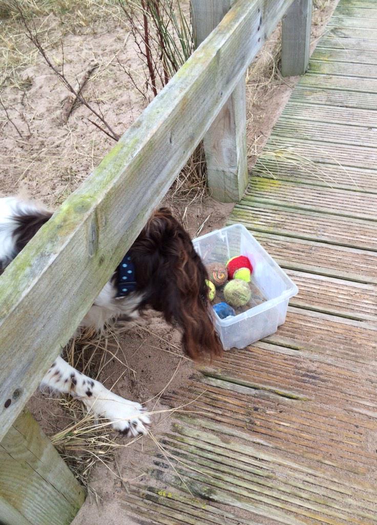EdwinandHubble's tweet image. Da ball box #Lunan #RainbowBridge #TB