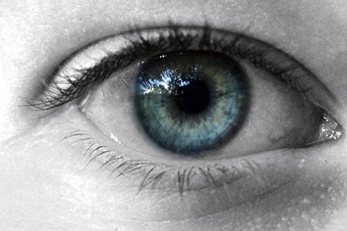 PhotographerDa tweet picture