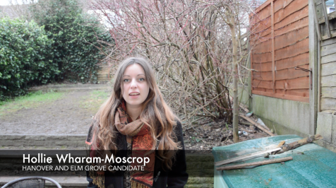 HollieWharam's tweet photo. Hey guys, just uploaded a new video introducing myself! http://t.co/4CxVTQZcF7 :) @HEGgreenparty #greenhanover http://t.co/uOUcxD4ZSn
