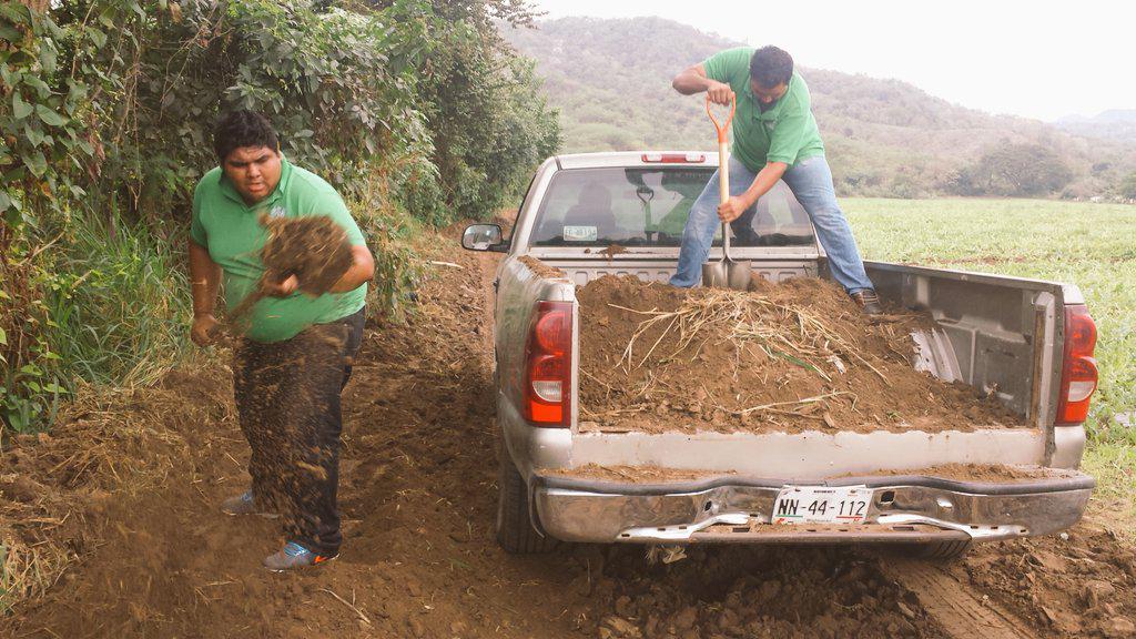 chefalexziga's tweet photo. @HuertoUTeM  #trabajo#tierra#huerto#soyderancho http://t.co/am4nOK5wtg