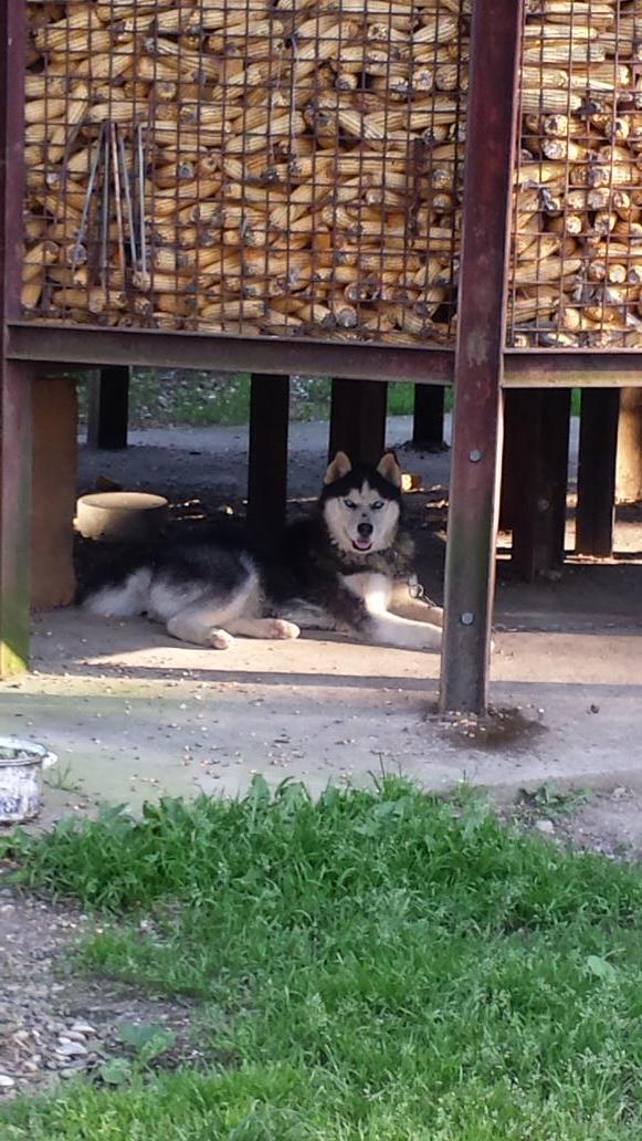 DTodorovic's tweet image. 