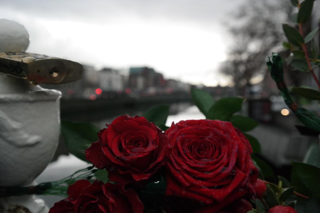 tweetymonkey's tweet photo. Beautiful sight on the Ha'penny bridge today with all them roses for all them valentines 💅 http://t.co/4zPWZTSt4j