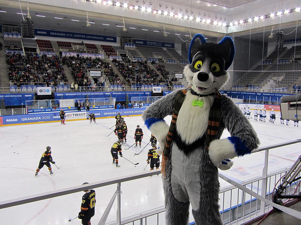SugarLars's tweet photo. It's ice hockey time! Go Spain!! #WinterUniversiade #Granada2015 #FursuitFriday @Granada_2015 @fedhielo @IIHFHockey http://t.co/BmIkOYMSeo