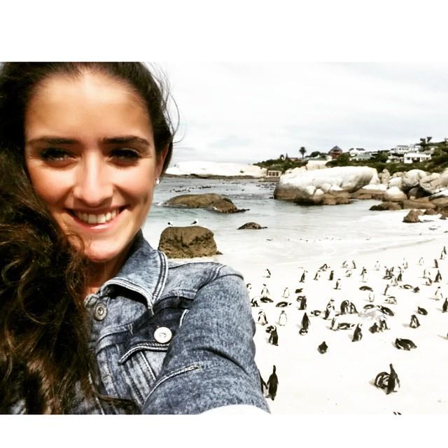 layoverlife's tweet image. 🐧😍 #capetown #southafrica #pengiuns #boulders #penguincolony #iloveanimals #layover #emira… ift.tt/1CprYp3