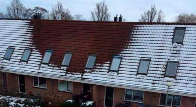 A3Noticias's tweet photo. ¿Dónde está la plantación de marihuana? La nieve ayudó a la policía holandesa a descubrirlo http://t.co/niZFnJTCDZ http://t.co/uvA679MENJ