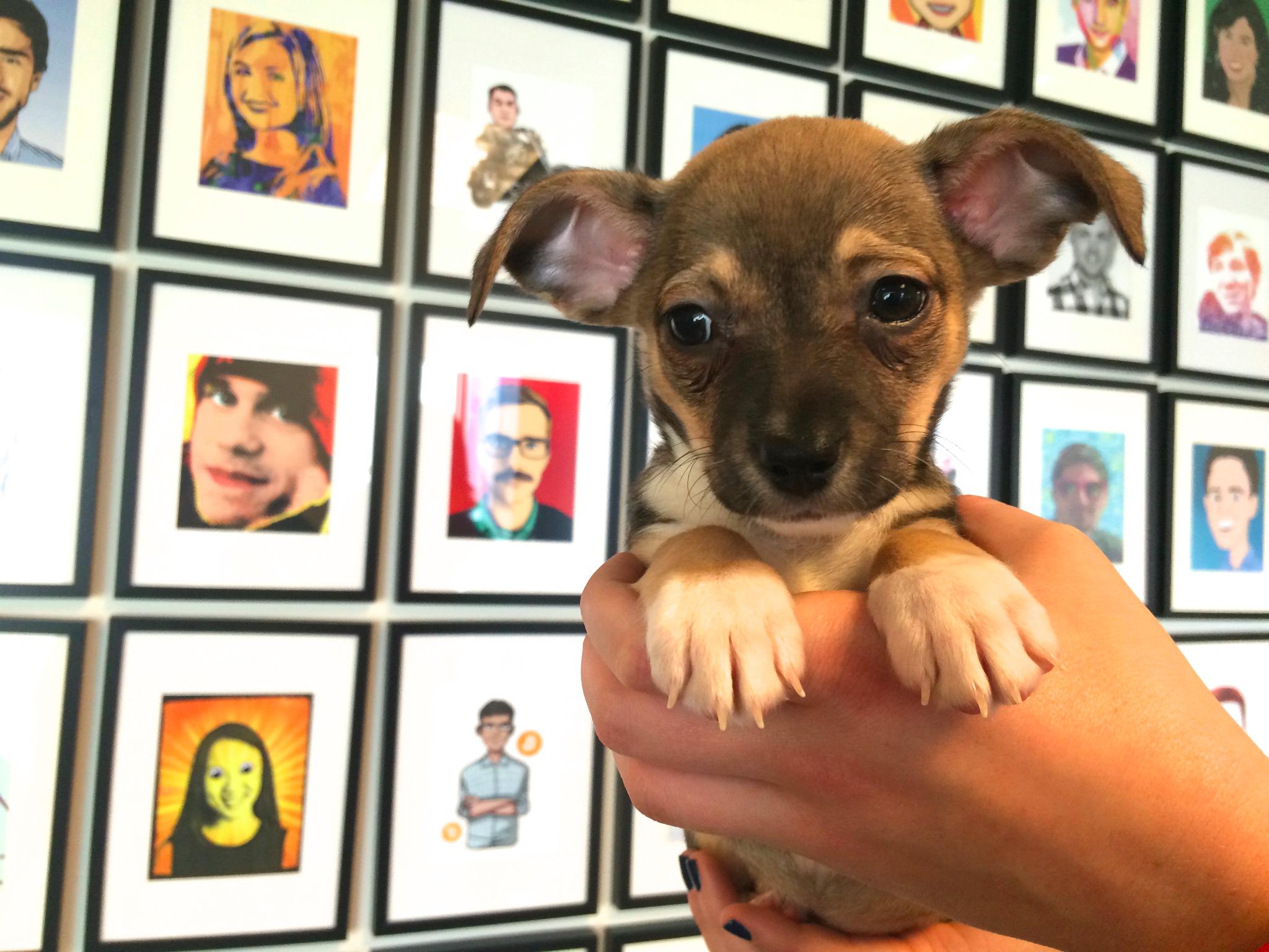 Embedded image permalink