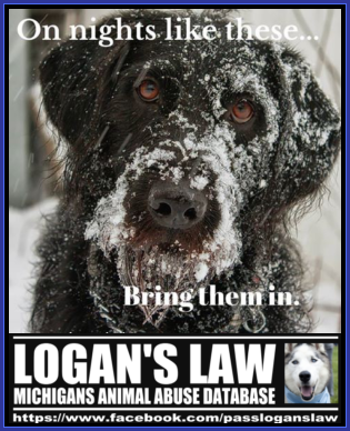 MichiganKelly's tweet photo. #AnimalRights #LogansLaw #Michigan #coldday2015 http://t.co/eNTRCJ6tjN