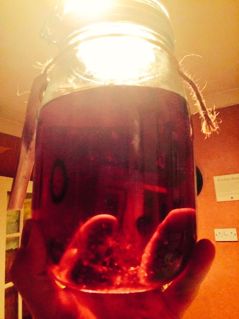 KingGrimlock's tweet photo. Tasting our Homemade raspberry and blackberry vodka and its GOOOOOOOODDDD!! #drinkingfor2 http://t.co/LqrvsUW6Dq
