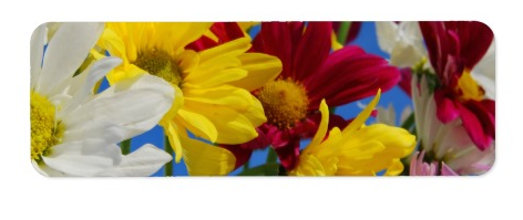 JoshKMartin's tweet image. Mixe Flowers 15 mf Return Address Label  buff.ly/1ClQEyE #flowers #addresslabel