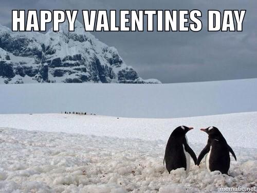 TroutWoodend's tweet photo. Have a great day http://t.co/6DuM4SwyLc