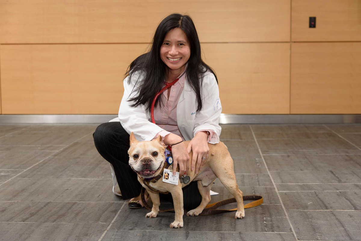 MSKCancerCenter's tweet image. Early #ValentinesDay treat! MSK cardiologist Carol Chen with Cooper, a Caring Canine therapy dog.