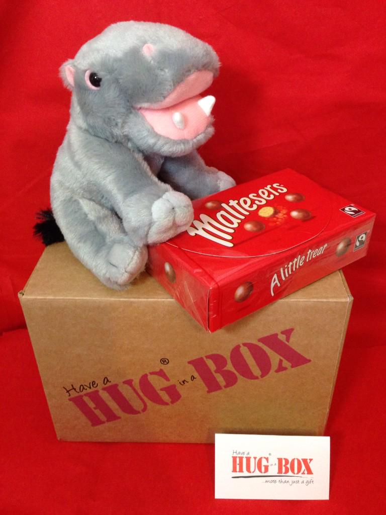 HugBoxUK's tweet photo. #WIN a HIPPO HUG BOX follow @HugBoxUK &amp; RT to enter also http://t.co/b9xth7sMkc 😃 #comp #free #FreebieFriday #RTtoWIN http://t.co/T4OOyTOQnd