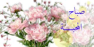 مدام جيجى (@gigim9871) on Twitter photo 