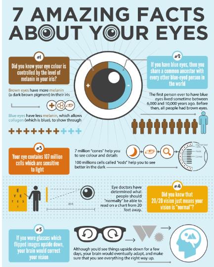 6 Fascinating Facts About Your Eyes And Your Vision