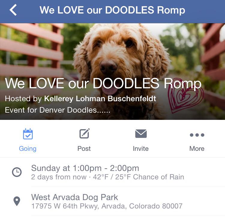 Denver Doodles tweet media