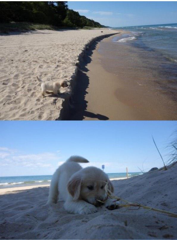 basicwhytechick's tweet photo. first day at the beach! ☺️🌴🌊 http://t.co/FzYqrsee3X