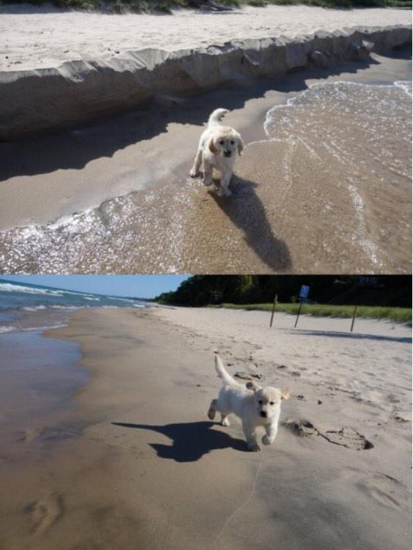 basicwhytechick's tweet photo. first day at the beach! ☺️🌴🌊 http://t.co/FzYqrsee3X