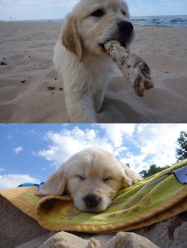 basicwhytechick's tweet photo. first day at the beach! ☺️🌴🌊 http://t.co/FzYqrsee3X