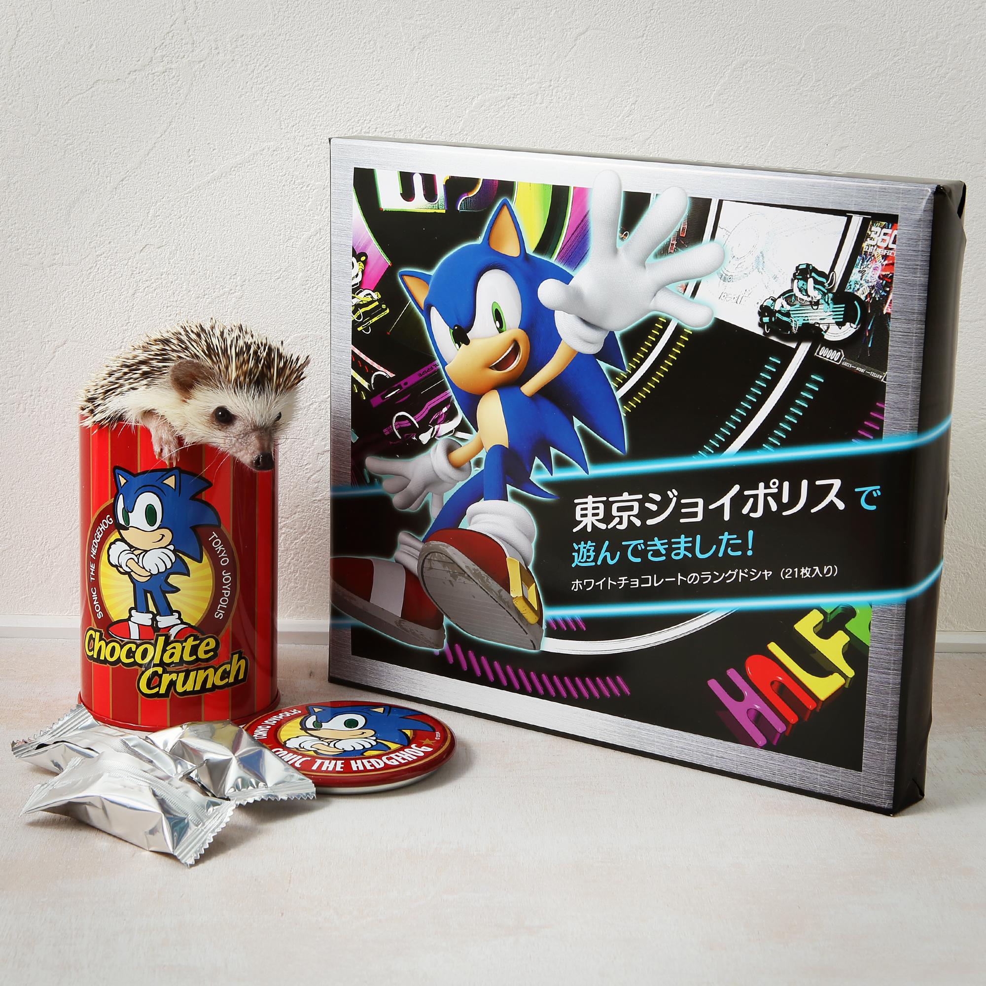 超希少ソニックチーム　セガ統合記念非売品ピンバッチ ソニックチーム株式会社セガ統合記念非売品ピンバッチ