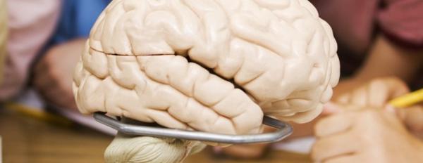 Is coding the new literacy? MT <a href="/feedtheteacher/">Gi Santos</a>: Resources for #coding newbies: edut.to/1EnpRnK.