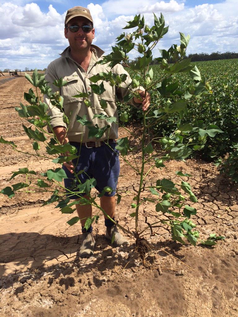 Fiona Wyngaarden tweet media