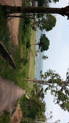 Steven Antoni (@c_venz) on Twitter photo 