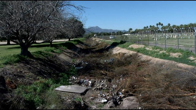 KVOA's tweet image. The #NavajoWash is filled with trash and some #Tucsonans want it cleaned.More Info: bit.ly/1D6j8BG