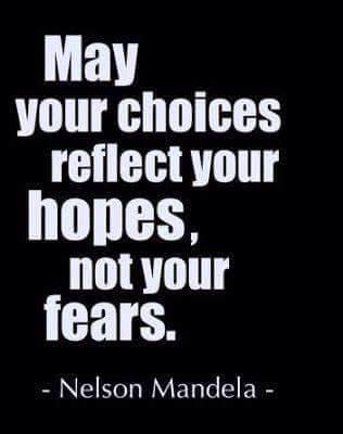 noisydogs's tweet image. 