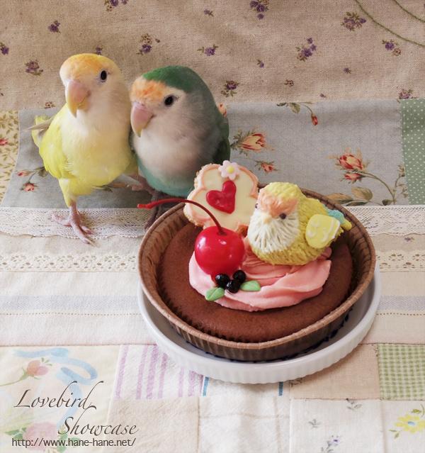 Kaori Birdshowcas Twitterissa Valentine S Day用のインコチョコケーキを作りました インコ部分はケーキポップです Blog Http T Co 6u5chmbjim バレンタイン ケーキポップ インコ Http T Co Frqy4a7gqq